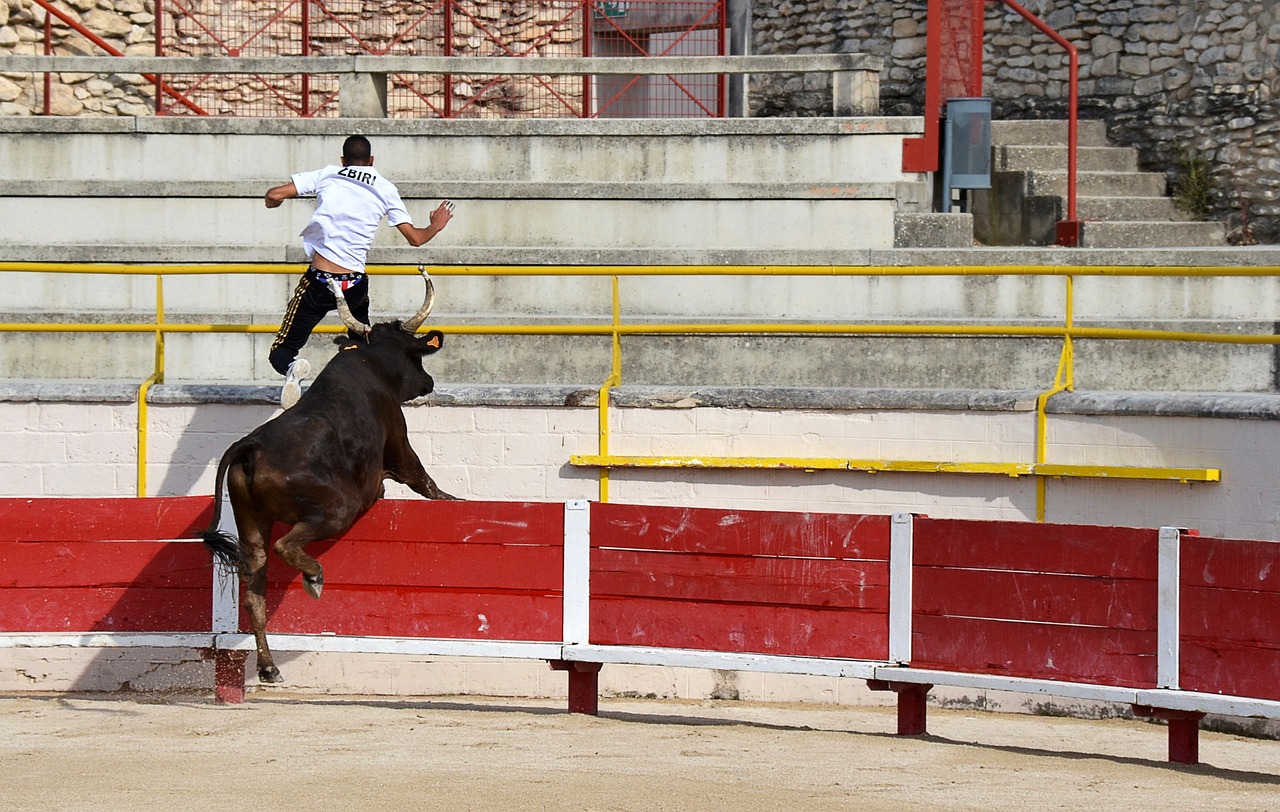 制师傅的成