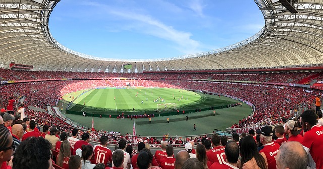 主帅
