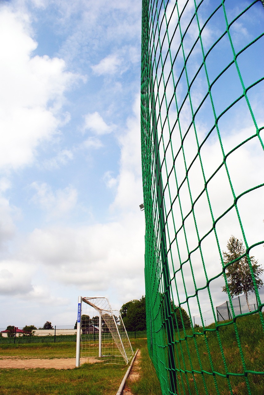 带来了新的 带来了新的