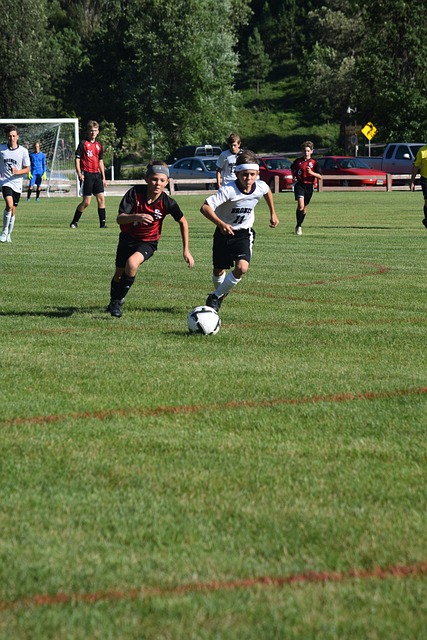 仅代表着荣 仅代表着荣