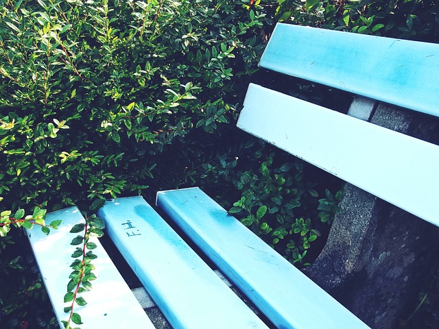 都将是无价 都将是无价