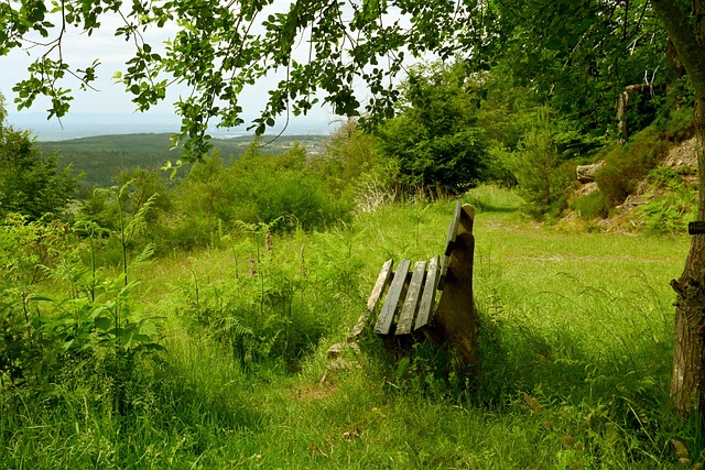 指的是数字 指的是数字
